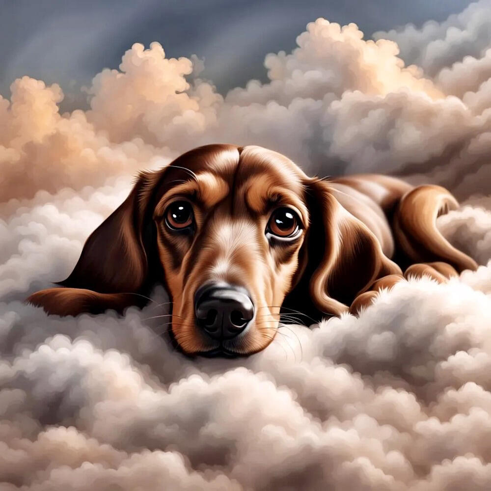 Gone To Heaven Dog